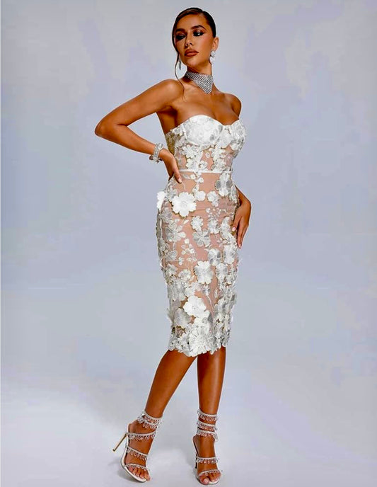 Embroidery French Lace Midi Dress